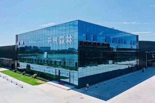元气森林坠落 云端