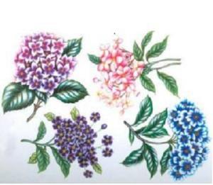 贴花印制法